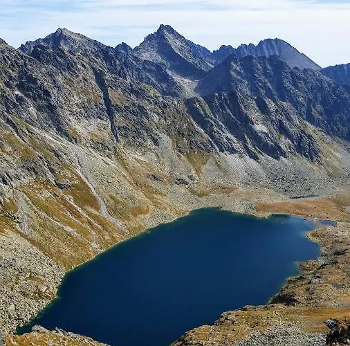 Stellaria Попрад