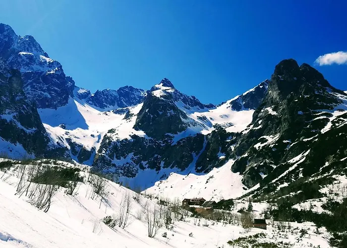 Stellaria * Попрад